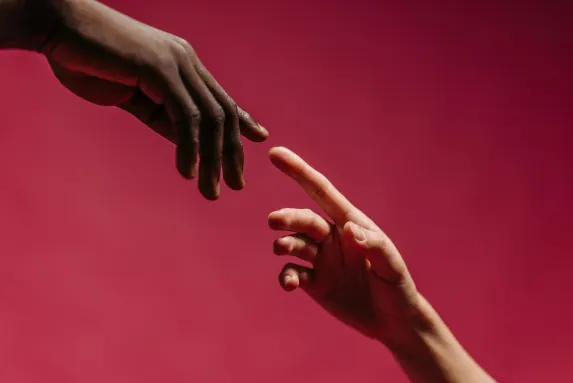 קזינו וויילד וגאס תמיכה